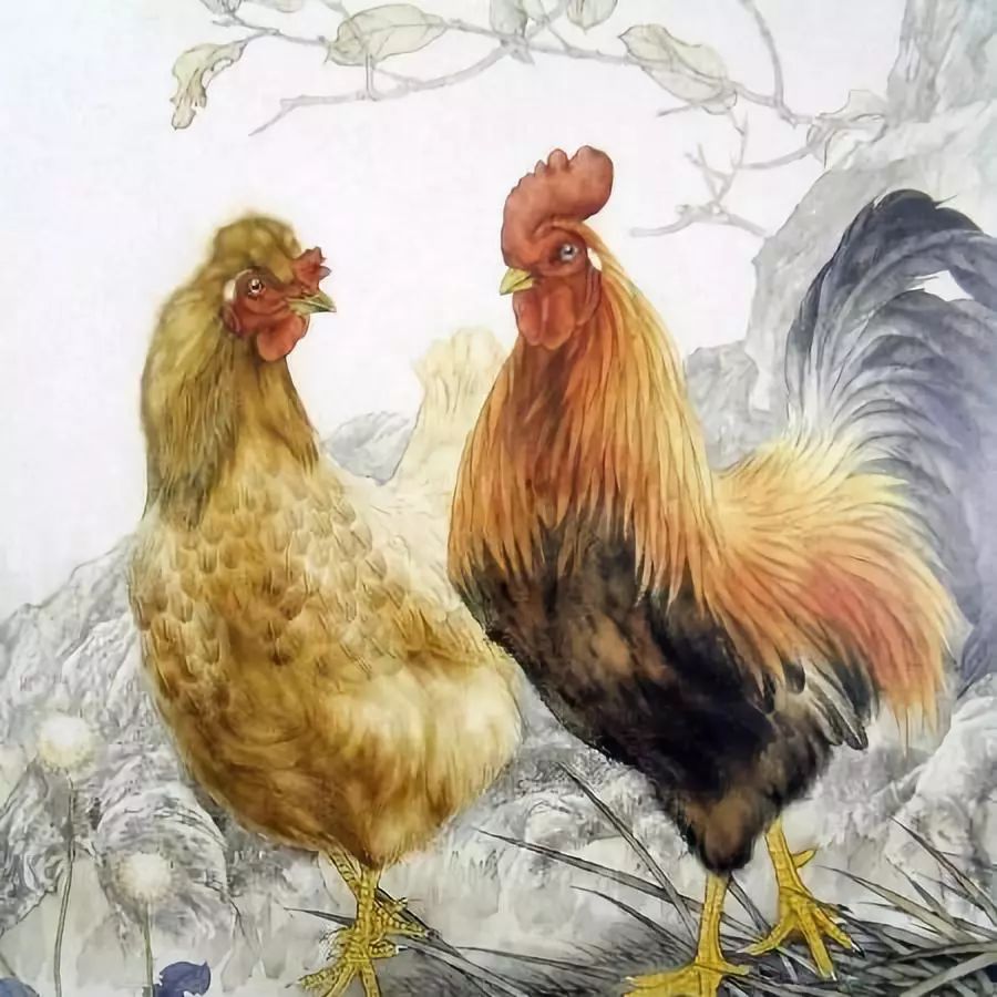 属鸡的今年的运势如何,1981年属鸡人最难熬年龄