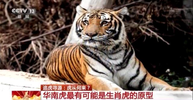 芭比之长发公主 芭比之长发公主国语版 芭比之长发公主 芭比之长发公主国语版